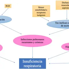 Diagrama de flujo que ilustra cómo la parálisis cerebral puede llevar a insuficiencia respiratoria a través de aspiración, infecciones y debilidad muscular.