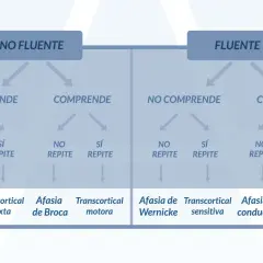 Diagrama que explica qué es la afasia, clasificándola según fluidez, comprensión y repetición, detallando tipos como Broca, Wernicke y global.
