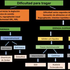 Diagrama explica qué es la disfagia, diferenciando la orofaríngea de la esofágica, sus causas y posibles patologías asociadas.