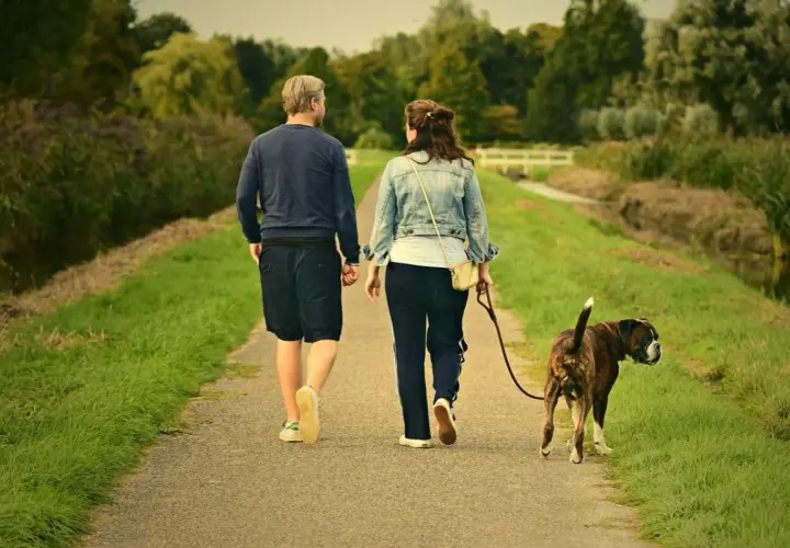 Pareja pasea a su perro. El **reuma** no les impide disfrutar del **andar** por el campo.