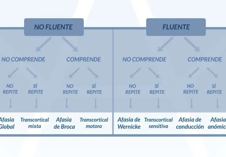 Diagrama que explica qué es la afasia, clasificándola según fluidez, comprensión y repetición, detallando tipos como Broca, Wernicke y global.
