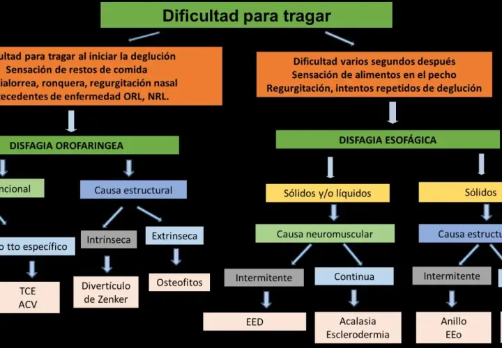 Diagrama explica qué es la disfagia, diferenciando la orofaríngea de la esofágica, sus causas y posibles patologías asociadas.