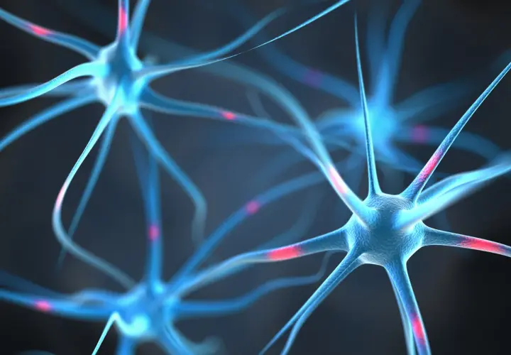 Neuronas azules con destellos rojos, mostrando la vaina de mielina que acelera la transmisión nerviosa.