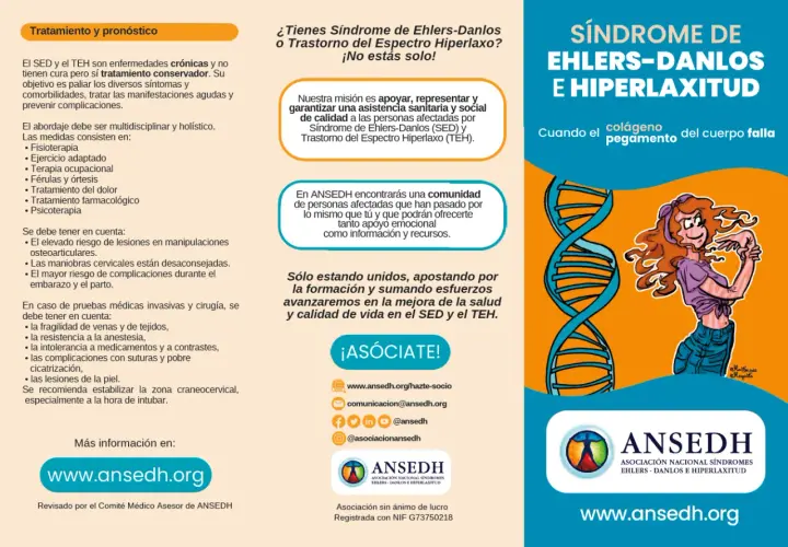 Folleto informativo sobre el Síndrome de Ehlers-Danlos (SED) y el Trastorno del Espectro Hiperlaxo (TEH). Incluye tratamientos, pronósticos y recursos de apoyo.