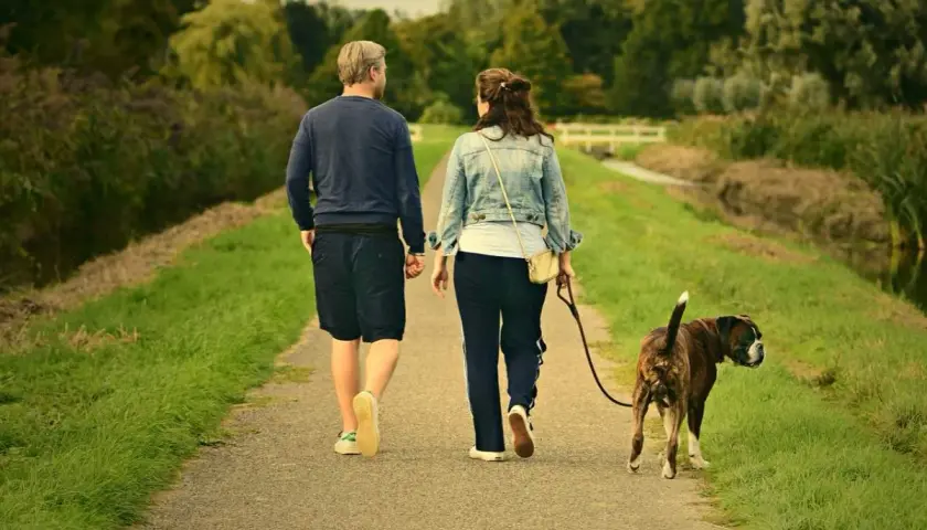 Pareja pasea a su perro. El **reuma** no les impide disfrutar del **andar** por el campo.