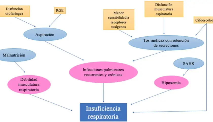 Diagrama de flujo que ilustra cómo la parálisis cerebral puede llevar a insuficiencia respiratoria a través de aspiración, infecciones y debilidad muscular.
