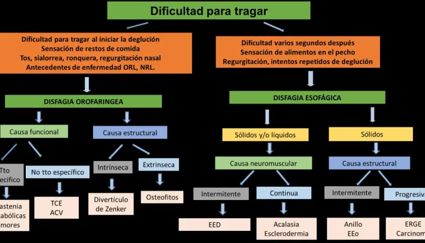 Diagrama explica qué es la disfagia, diferenciando la orofaríngea de la esofágica, sus causas y posibles patologías asociadas.