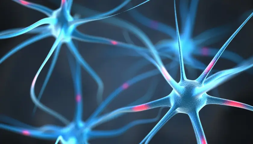 Neuronas azules con destellos rojos, mostrando la vaina de mielina que acelera la transmisión nerviosa.