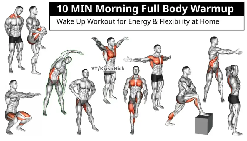 Ilustraciones de hombres realizando ejercicios de calentamiento general para un entrenamiento matutino.