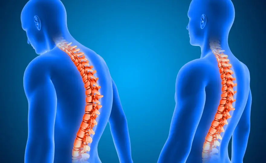 Columna vertebral - Anatomía, problemas y cómo cuidarla