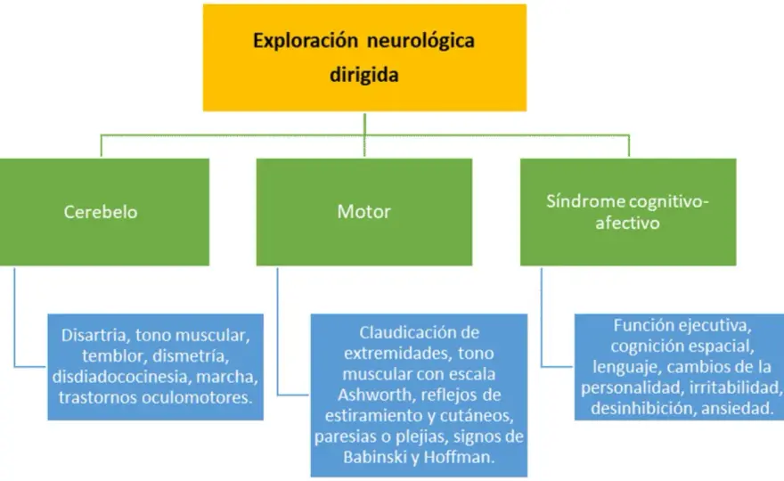 Ataxia cerebelosa - Síntomas, causas y rehabilitación clave