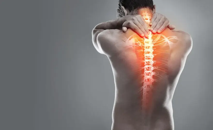 Músculos espalda alta: Anatomía, función y por qué duelen
