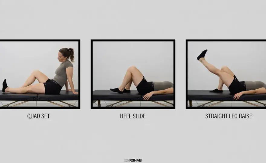 LCA - Entiende tu rodilla y su rehabilitación