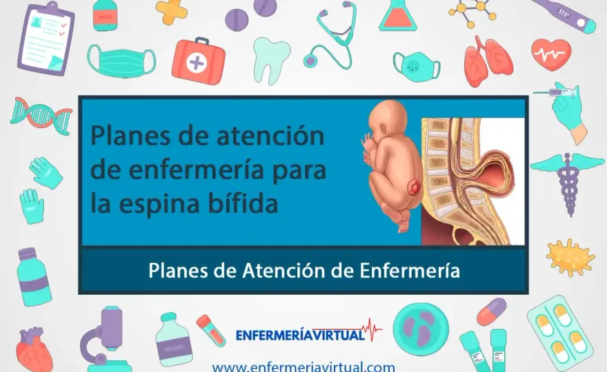 Espina Bífida - Guía Completa: Tipos, Diagnóstico y Rehabilitación