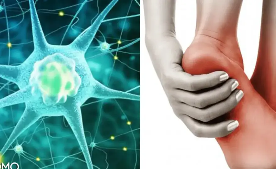 Neuropatía Periférica - Síntomas, Causas y Fisioterapia