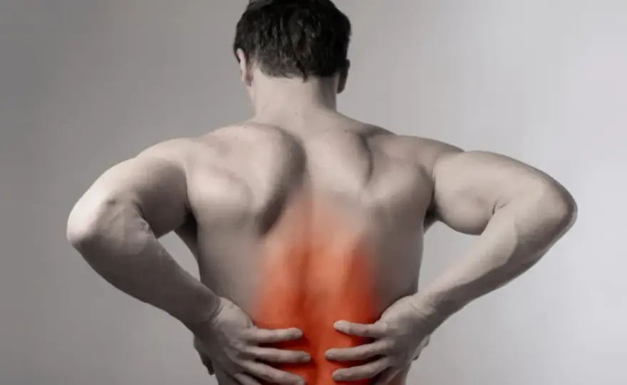 Psoas mayor - ¿Por qué es clave en tu dolor lumbar y cadera?