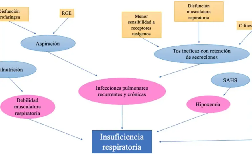Parálisis Cerebral - Guía Completa de Síntomas y Rehabilitación