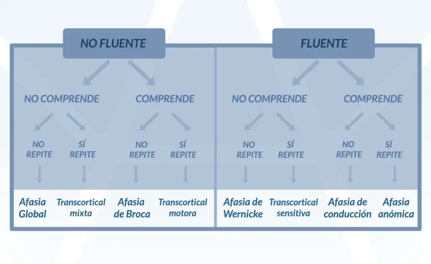 Afasia - Qué es, causas, tipos y cómo rehabilitar el lenguaje