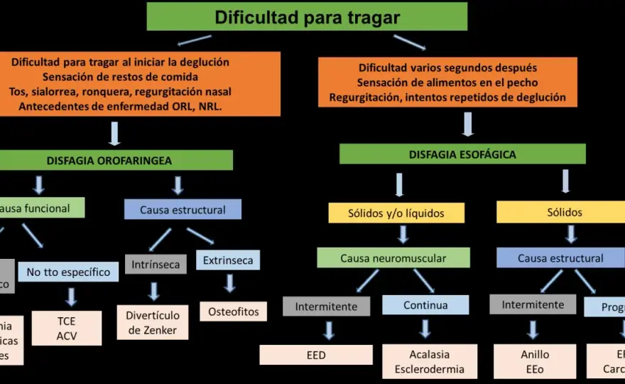 Disfagia - Dificultad para tragar: causas, síntomas y tratamiento