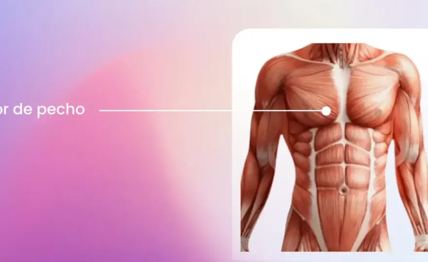 Dolor de pecho muscular - ¿Cómo saber si es grave?