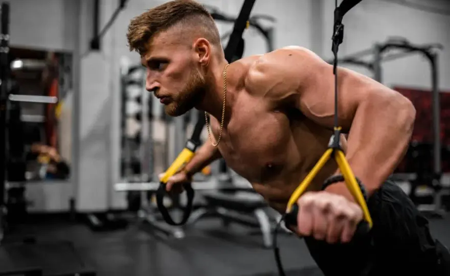 Nombres de los Músculos del Cuerpo - Guía Práctica y Funcional