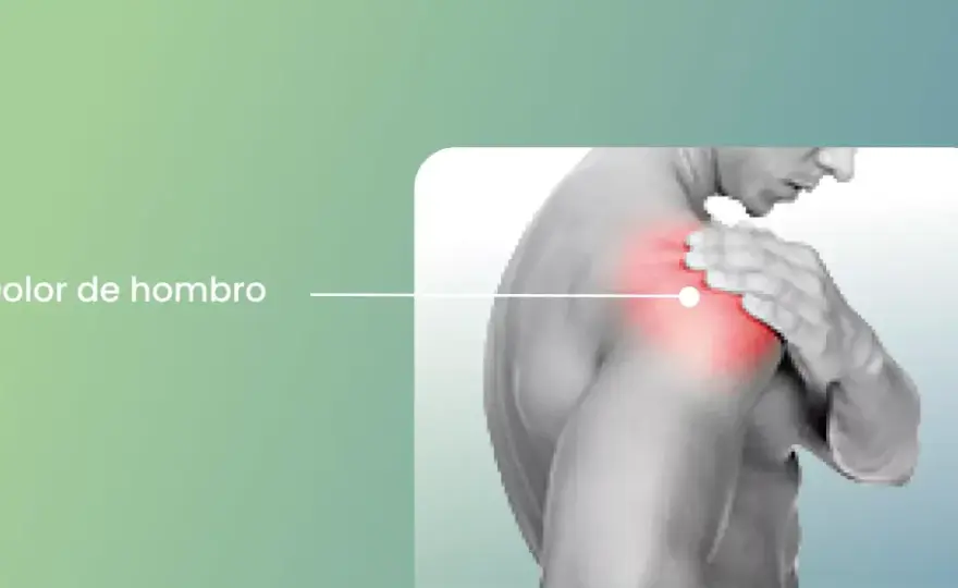 Deltoides - Anatomía y dolor de hombro: ¿Entiendes su función?