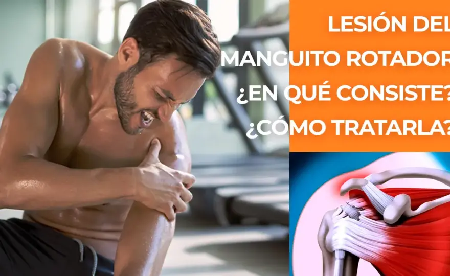Manguito Rotador: Entiende tu Hombro y Alivia el Dolor