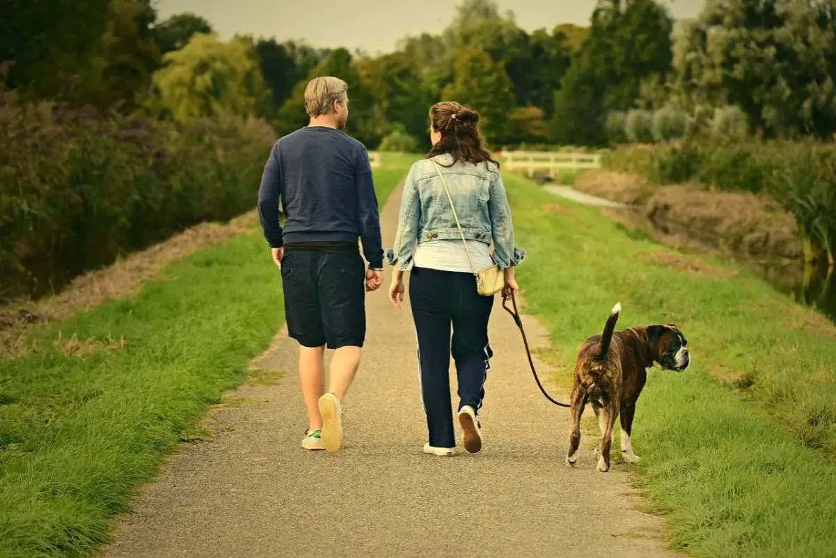Pareja pasea a su perro. El **reuma** no les impide disfrutar del **andar** por el campo.