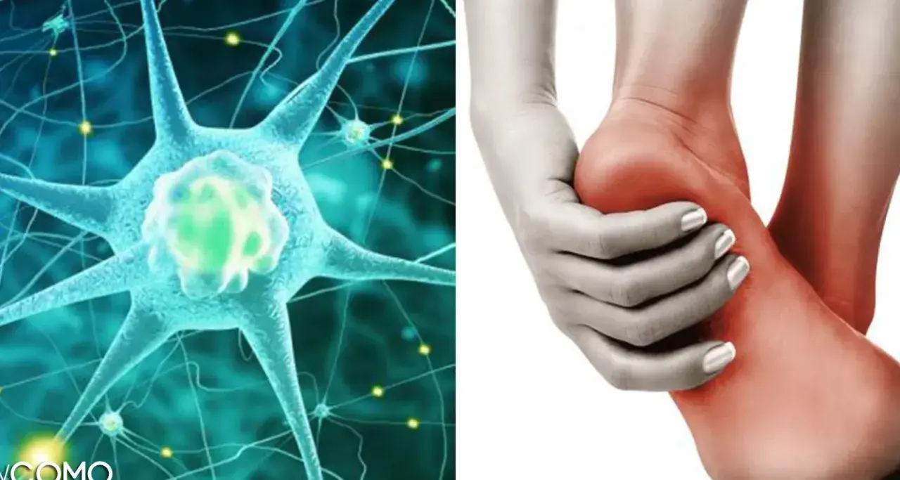 Ilustración de neuronas y un pie con dolor, representando la neuropatía periférica.