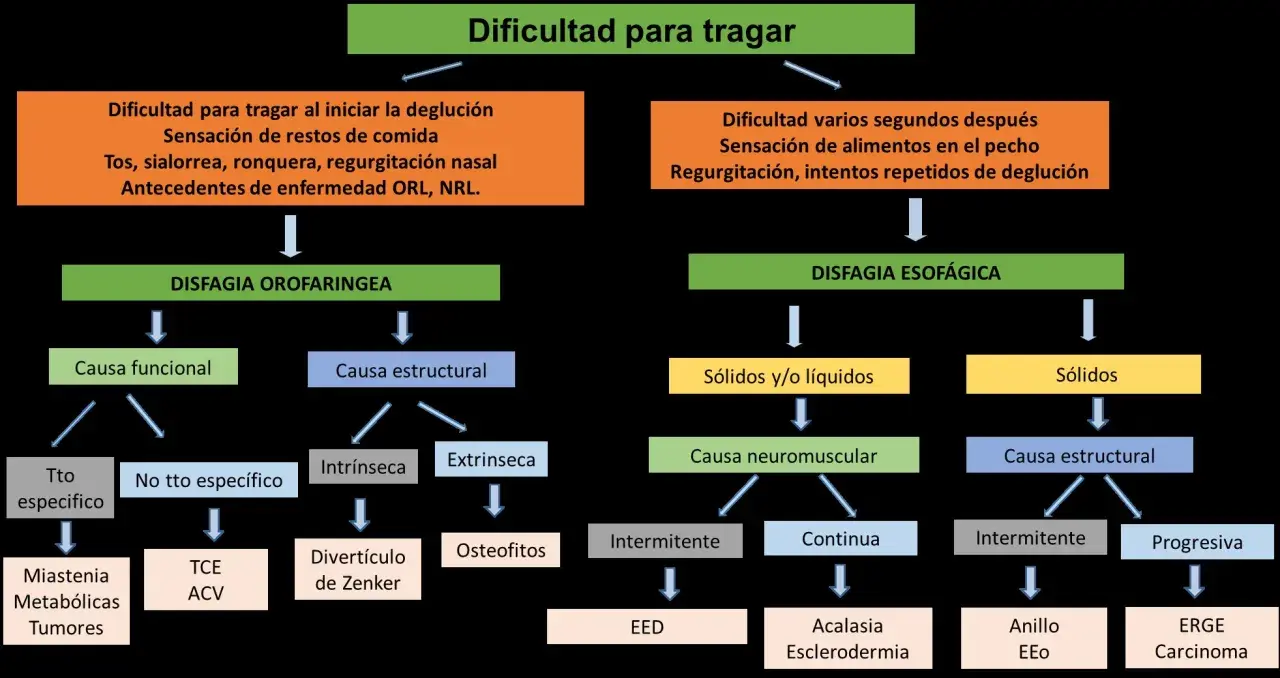 Diagrama explica qué es la disfagia, diferenciando la orofaríngea de la esofágica, sus causas y posibles patologías asociadas.