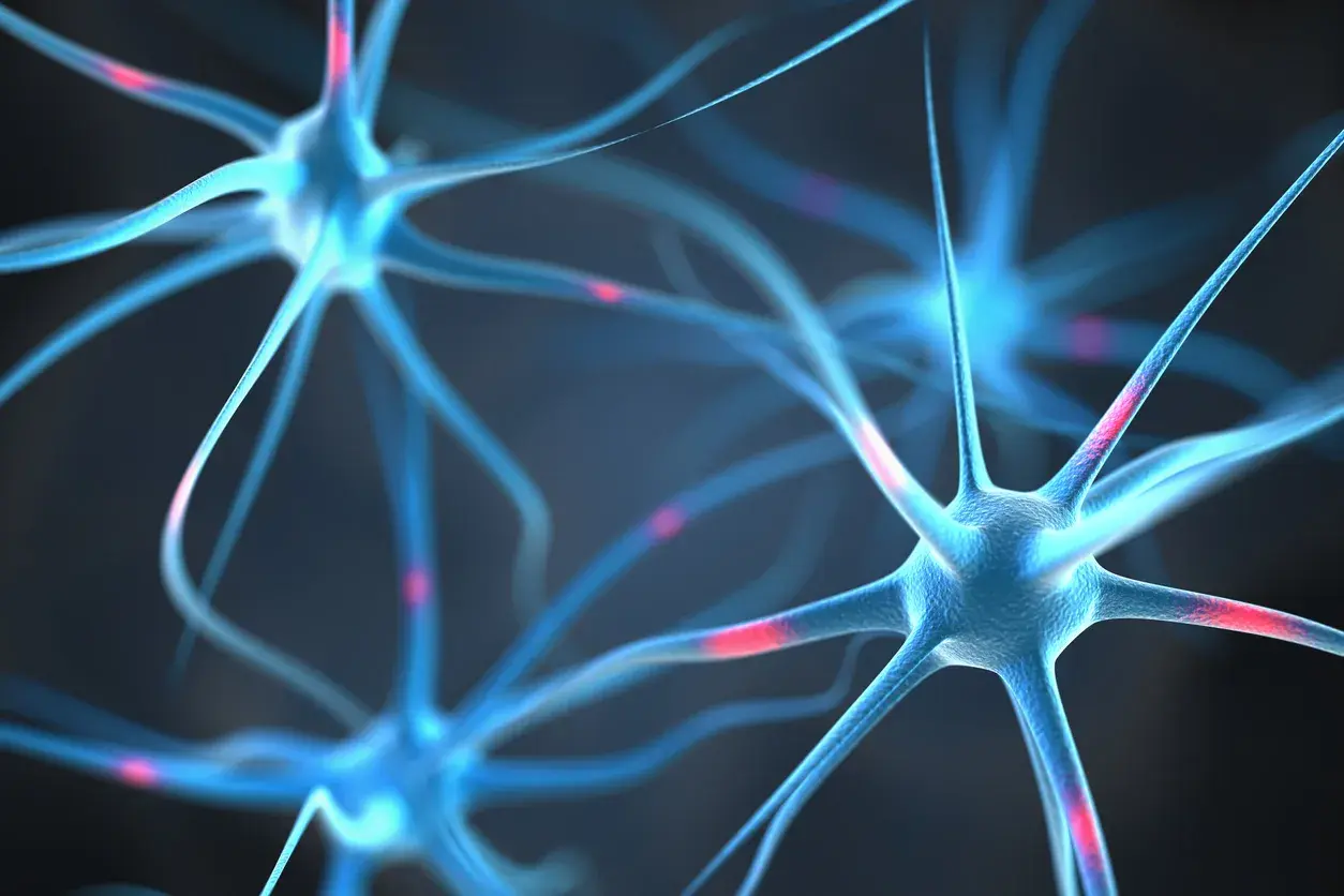 Neuronas azules con destellos rojos, mostrando la vaina de mielina que acelera la transmisión nerviosa.