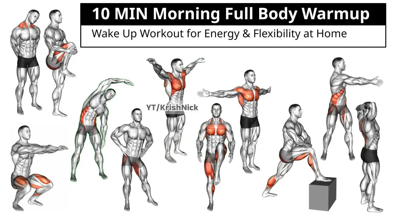 Ilustraciones de hombres realizando ejercicios de calentamiento general para un entrenamiento matutino.