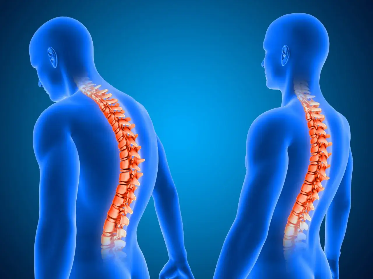 Dos figuras humanas azules muestran la columna vertebral en naranja, destacando su estructura y soporte vital.
