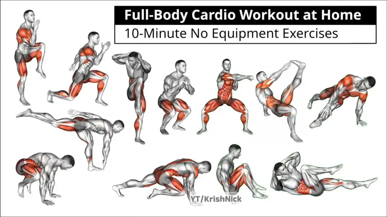 Ilustraciones de ejercicios aeróbicos en casa, mostrando varias posturas de entrenamiento de cuerpo completo sin equipo.